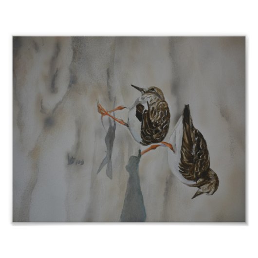 Sand Pipers Bird Reproduction Foto Afdrukken (Voorkant)