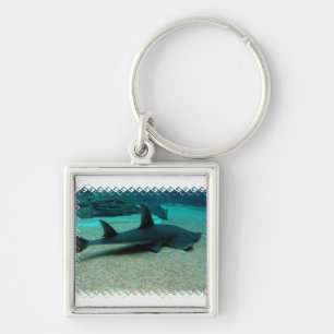Sand Shark Sleutelhanger