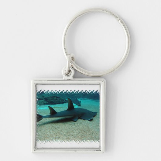 Sand Shark Sleutelhanger (Voorkant)