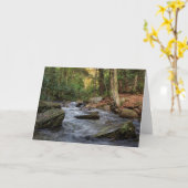 Sand Spring run, Hickory Run State Park Kaart (Gele Bloem)