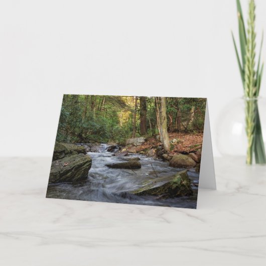 Sand Spring run, Hickory Run State Park Kaart (Voorkant)