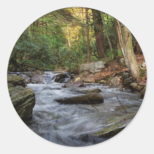 Sand Spring run, Hickory Run State Park Ronde Sticker (Voorkant)