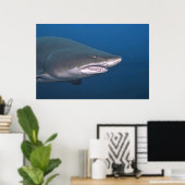 Sand Tiger Portrait Poster (Thuiskantoor)