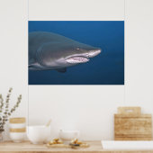 Sand Tiger Portrait Poster (Keuken)