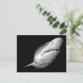 Sand Tiger Shark Briefkaart (Staand voorkant)