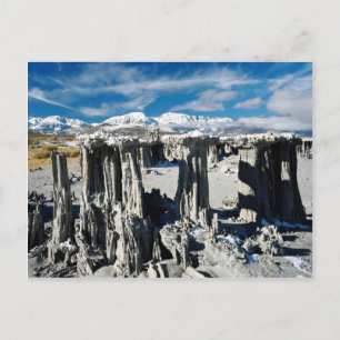 Sand tufa formations, Mono Lake, Californië, VS Briefkaart
