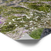 Sand Verbena & Desert Gold bij Amboy Crater, CA. Poster (Hoek)