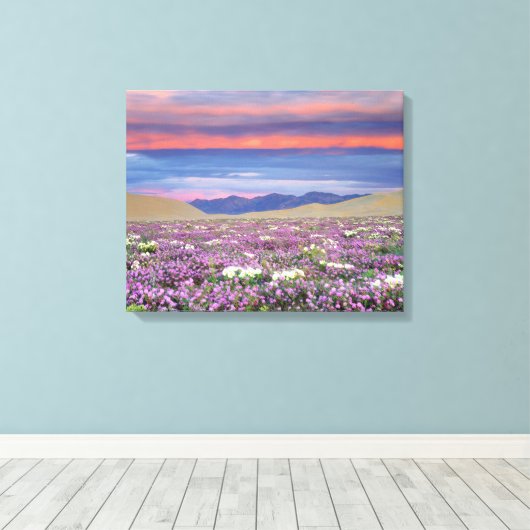 Sand Verbena & Dune Primrose Wildbloemen op zonson Canvas Afdruk (Insitu (Houten vloer))