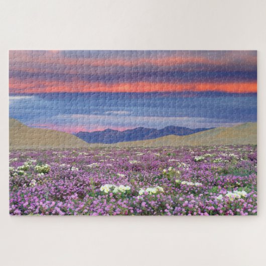Sand Verbena & Dune Primrose Wildbloemen op zonson Legpuzzel (Horizontaal)