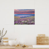 Sand Verbena & Dune Primrose Wildbloemen op zonson Poster (Keuken)
