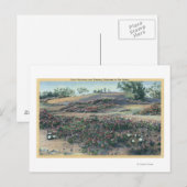 Sand Verbenas and Desert Evening Primroses Briefkaart (Voorkant / Achterkant)