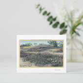 Sand Verbenas and Desert Evening Primroses Briefkaart (Staand voorkant)