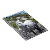 Sand Wash Basin Journal Notitieboek (Rechterzijde)