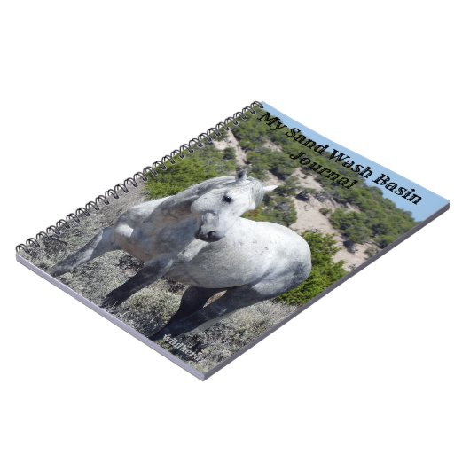 Sand Wash Basin Journal Notitieboek (Linkerzijde)