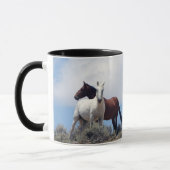 Sand Wash Basin Mok (Links)