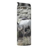 Sand Wash Basin Rock Cut Watergat Thermosbeker (Geroteerd rechts)