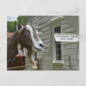 Sandburg Connemara Boerderijen Geitenzuivelfotogra Briefkaart (Voorkant)