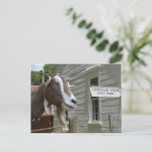 Sandburg Connemara Boerderijen Geitenzuivelfotogra Briefkaart (Staand voorkant)