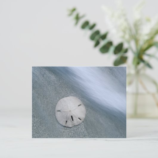 Sanddollar op strand | Sanibel Island, Florida Briefkaart (Staand voorkant)