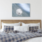 Sanddollar op strand | Sanibel Island, Florida Canvas Afdruk (Insitu (Slaapkamer))