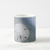 Sanddollar op strand | Sanibel Island, Florida Koffiemok (Center)