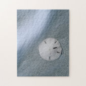 Sanddollar op strand | Sanibel Island, Florida Legpuzzel (Verticaal)