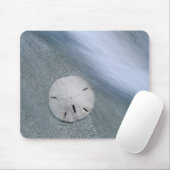 Sanddollar op strand | Sanibel Island, Florida Muismat (Met muis)