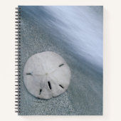 Sanddollar op strand | Sanibel Island, Florida Notitieboek (Voorkant)