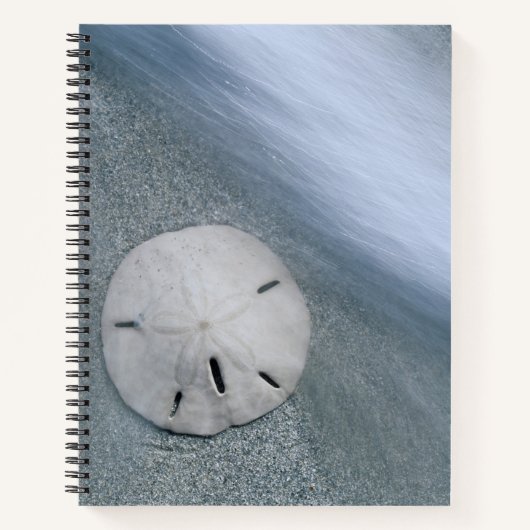 Sanddollar op strand | Sanibel Island, Florida Notitieboek (Voorkant)