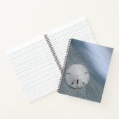 Sanddollar op strand | Sanibel Island, Florida Notitieboek (Binnen)