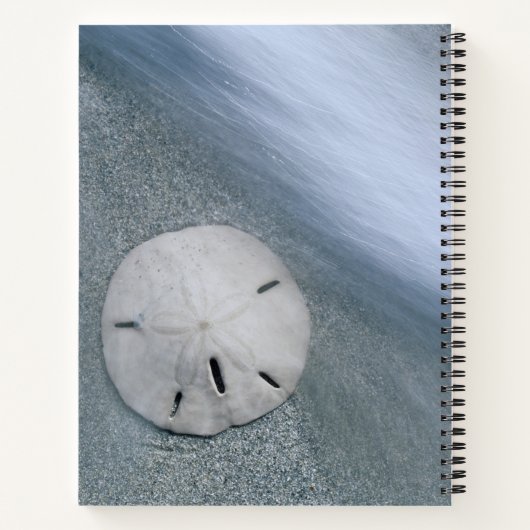 Sanddollar op strand | Sanibel Island, Florida Notitieboek (Achterkant)