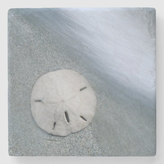 Sanddollar op strand | Sanibel Island, Florida Stenen Onderzetter (Voorkant)