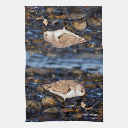 Sanderende mijnen op Clam bij het strand Theedoek (Verticaal)