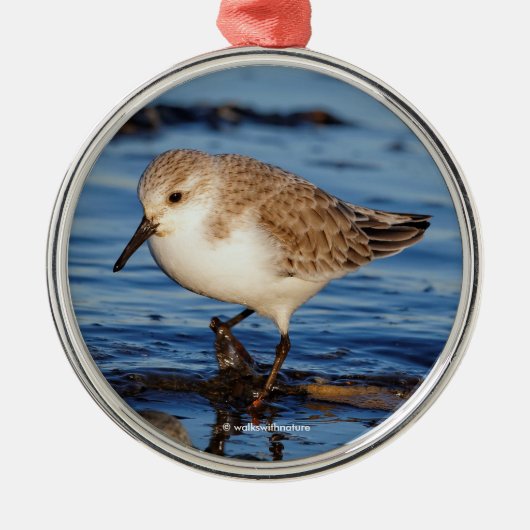 Sanderende Sandpiper die de Shores afzwaait Metalen Ornament (Voorkant)