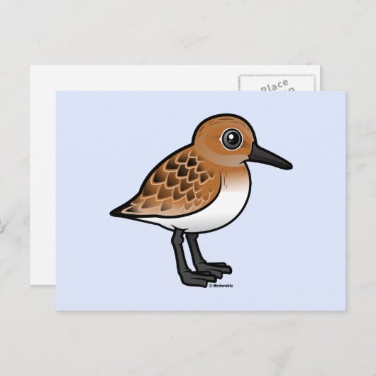 Sandering Briefkaart (Voorkant / Achterkant)