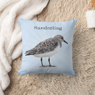 Sandering Kussen