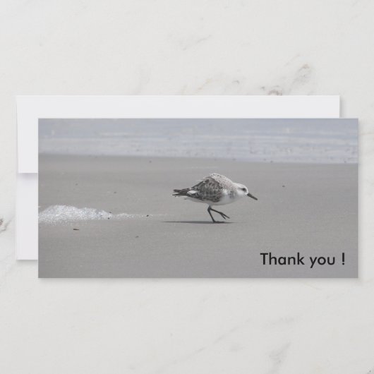 Sanderling, bedankt! bedankkaart (Voorkant)