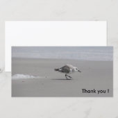 Sanderling, bedankt! bedankkaart (Voorkant / Achterkant)