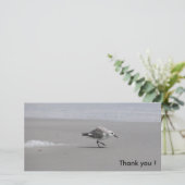 Sanderling, bedankt! bedankkaart (Staand voorkant)