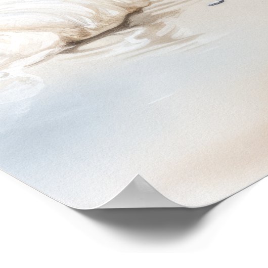 Sanderling Bird Art Print Poster (Hoek)