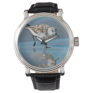 Sanderling (Calidris Albe) Feeding On Wet Beach Horloge