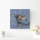 Sanderling Shorebird die een winterstrand wuift Vierkante Klok (Huis)