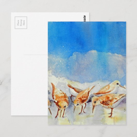 Sanderling Shuffle Briefkaart WatercolorBeach Memo (Voorkant / Achterkant)