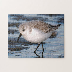 Sanderling Strollen op winterstrand Legpuzzel