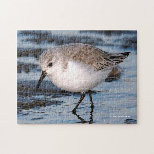 Sanderling Strollen op winterstrand Legpuzzel (Horizontaal)