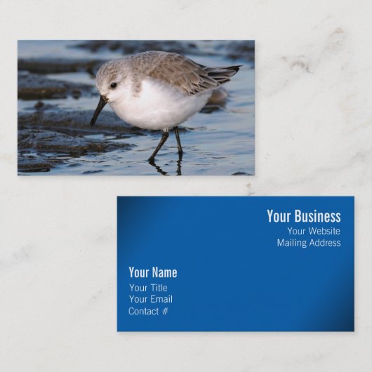 Sanderling Strollen op winterstrand Visitekaartje (Voorkant / Achterkant)