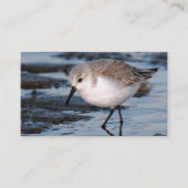 Sanderling Strollen op winterstrand Visitekaartje (Voorkant)