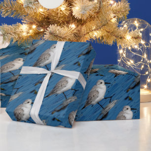 Sanderling Waadt Door Winterwateren Cadeaupapier