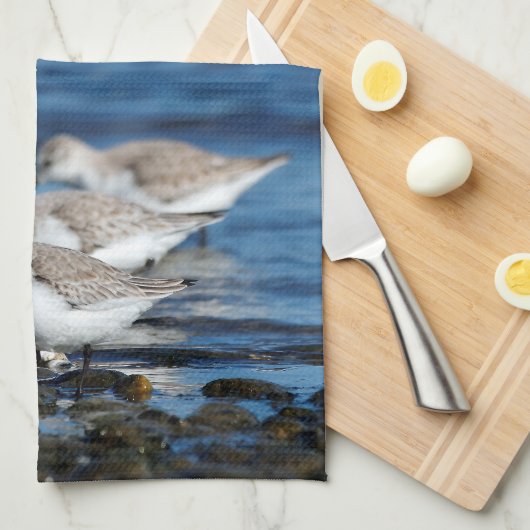 Sanderlings feesten in gespreide synchroniciteit theedoek (Quarter Fold)