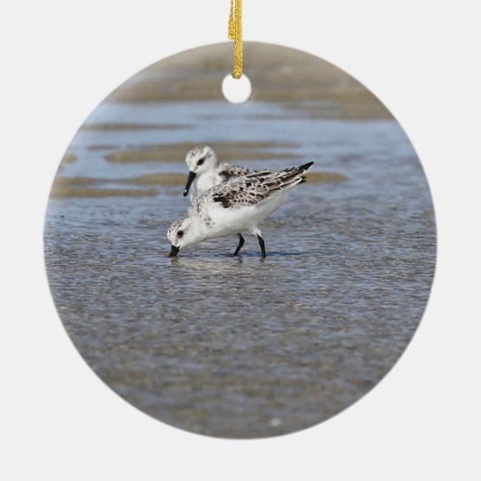 Sanderlings Keramisch Ornament (Achterkant)